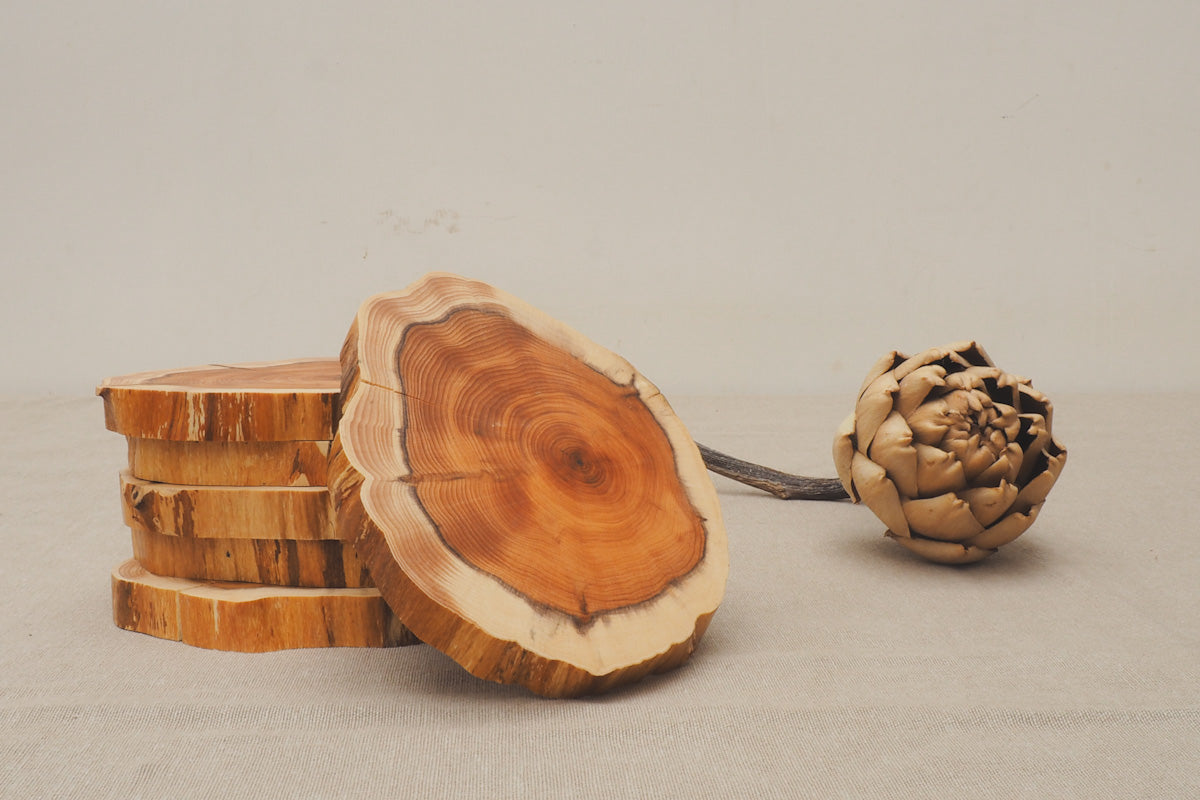 A pile of golden coloured yew coasters in their natural shape with bark around the edges